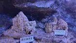 飛騨大鍾乳洞＆大橋コレクション館に投稿された画像（2026/6/24）