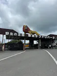 那須サファリパークに投稿された画像（2026/6/24）