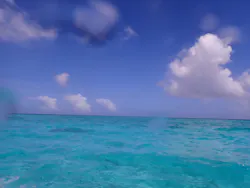 Marlinに投稿された画像（2026/6/24）