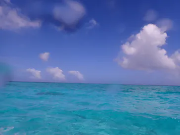 Marlinに投稿された画像（2026/6/24）