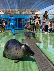 ゼロ距離水族館 伊勢シーパラダイスに投稿された画像（2026/6/24）