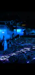 VIE presents ZEN NIGHTに投稿された画像（2026/6/24）