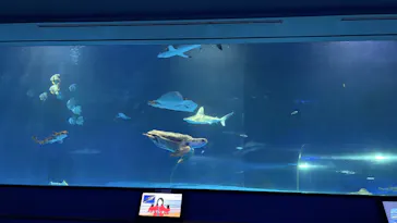 島根県立 しまね海洋館に投稿された画像（2026/6/24）