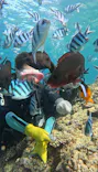 武藤潜水に投稿された画像（2026/6/24）