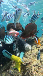 武藤潜水に投稿された画像（2026/6/24）