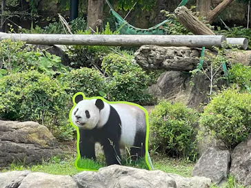 上野動物園 ハシビロカートに投稿された画像（2026/6/24）