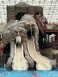 東京サマーランドに投稿された画像（2026/6/24）