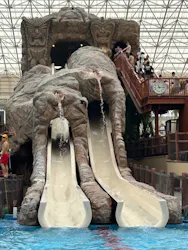 東京サマーランドに投稿された画像（2026/6/24）
