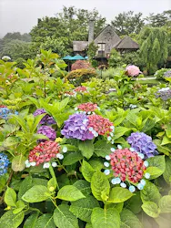 箱根ガラスの森美術館に投稿された画像（2026/6/24）