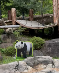 上野動物園 ハシビロカートに投稿された画像（2026/6/24）