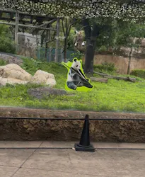 上野動物園 ハシビロカートに投稿された画像（2026/6/24）