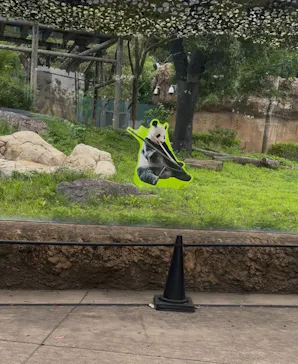 上野動物園 ハシビロカートに投稿された画像（2026/6/24）
