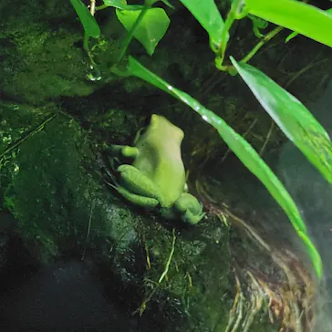 サンシャイン水族館に投稿された画像（2026/6/24）