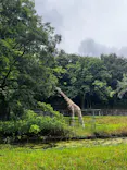 名古屋市東山動植物園に投稿された画像（2026/6/24）