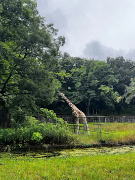 名古屋市東山動植物園に投稿された画像（2026/6/24）