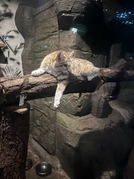 名古屋市東山動植物園に投稿された画像（2026/6/24）