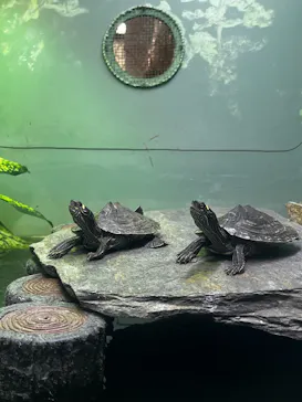 名古屋市東山動植物園に投稿された画像（2026/6/24）
