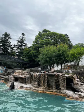 名古屋市東山動植物園に投稿された画像（2026/6/24）