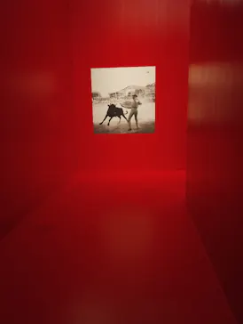ピカソ meets ポール・スミス　遊び心の冒険へに投稿された画像（2026/6/24）