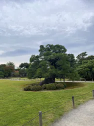 元離宮二条城に投稿された画像（2026/6/25）