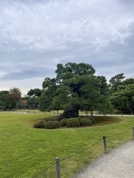 元離宮二条城に投稿された画像（2026/6/25）