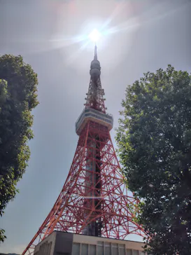東京タワーに投稿された画像（2026/6/25）