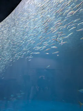 名古屋港水族館に投稿された画像（2026/6/25）