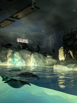 名古屋港水族館に投稿された画像（2026/6/25）
