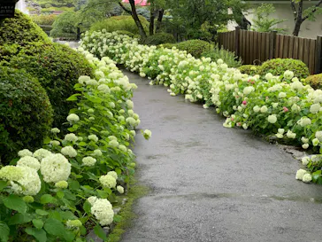 箱根強羅公園に投稿された画像（2026/6/25）