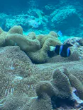沖縄美ら海水族館に投稿された画像（2026/6/25）