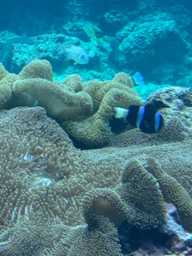 沖縄美ら海水族館に投稿された画像（2026/6/25）