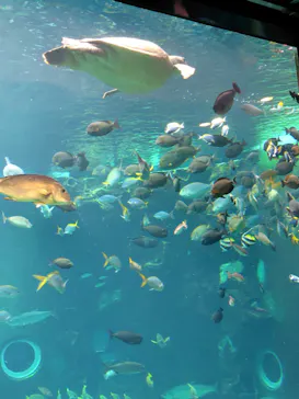箱根園水族館に投稿された画像（2026/6/25）