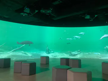 カワスイ 川崎⽔族館に投稿された画像（2026/6/25）
