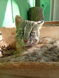 名古屋市東山動植物園に投稿された画像（2026/6/25）