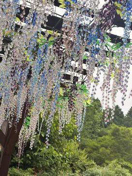 箱根ガラスの森美術館に投稿された画像（2026/6/25）