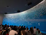 名古屋港水族館に投稿された画像（2026/6/25）