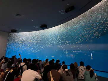 名古屋港水族館に投稿された画像（2026/6/25）