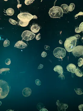 名古屋港水族館に投稿された画像（2026/6/25）