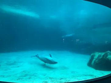 名古屋港水族館に投稿された画像（2026/6/25）