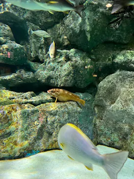 名古屋港水族館に投稿された画像（2026/6/25）