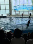 アクアワールド茨城県大洗水族館に投稿された画像（2026/6/25）