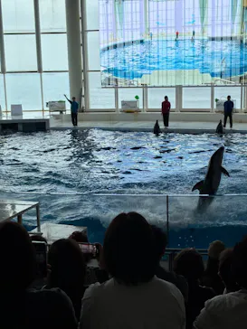 アクアワールド茨城県大洗水族館に投稿された画像（2026/6/25）