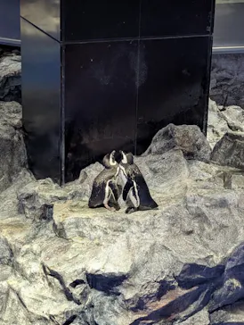 すみだ水族館に投稿された画像（2026/6/25）