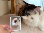 Cat Café MOFF 名古屋PARCO店に投稿された画像（2026/6/25）