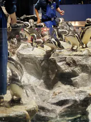 すみだ水族館に投稿された画像（2026/6/25）