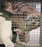 天王寺動物園に投稿された画像（2026/6/25）