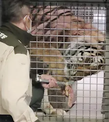 天王寺動物園に投稿された画像（2026/6/25）