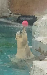 天王寺動物園に投稿された画像（2026/6/25）