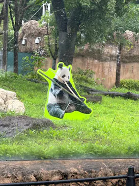 上野動物園 ハシビロカートに投稿された画像（2026/6/25）