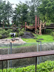 上野動物園 ハシビロカートに投稿された画像（2026/6/25）